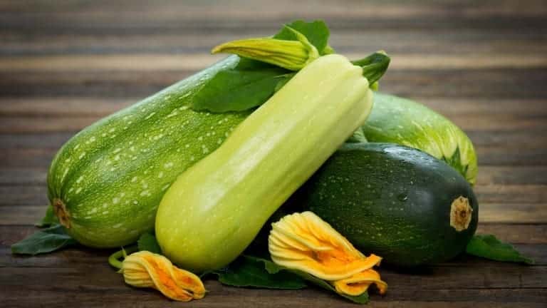 Zucchine, ricette con le zucchine, polpette greche con Feta zucchine e menta