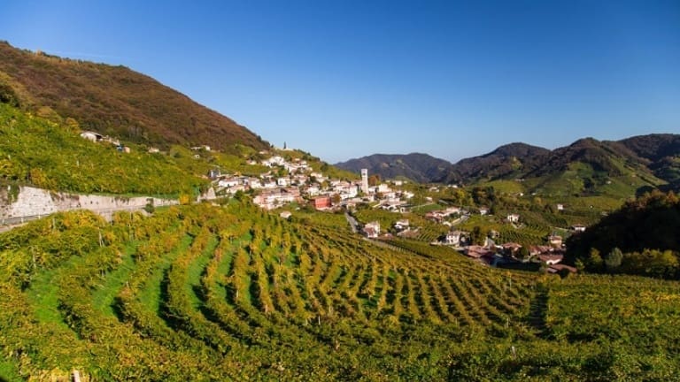 Vineyards of Valdobbiadene, where Prosecco Valdobbiadene DOCG is produced